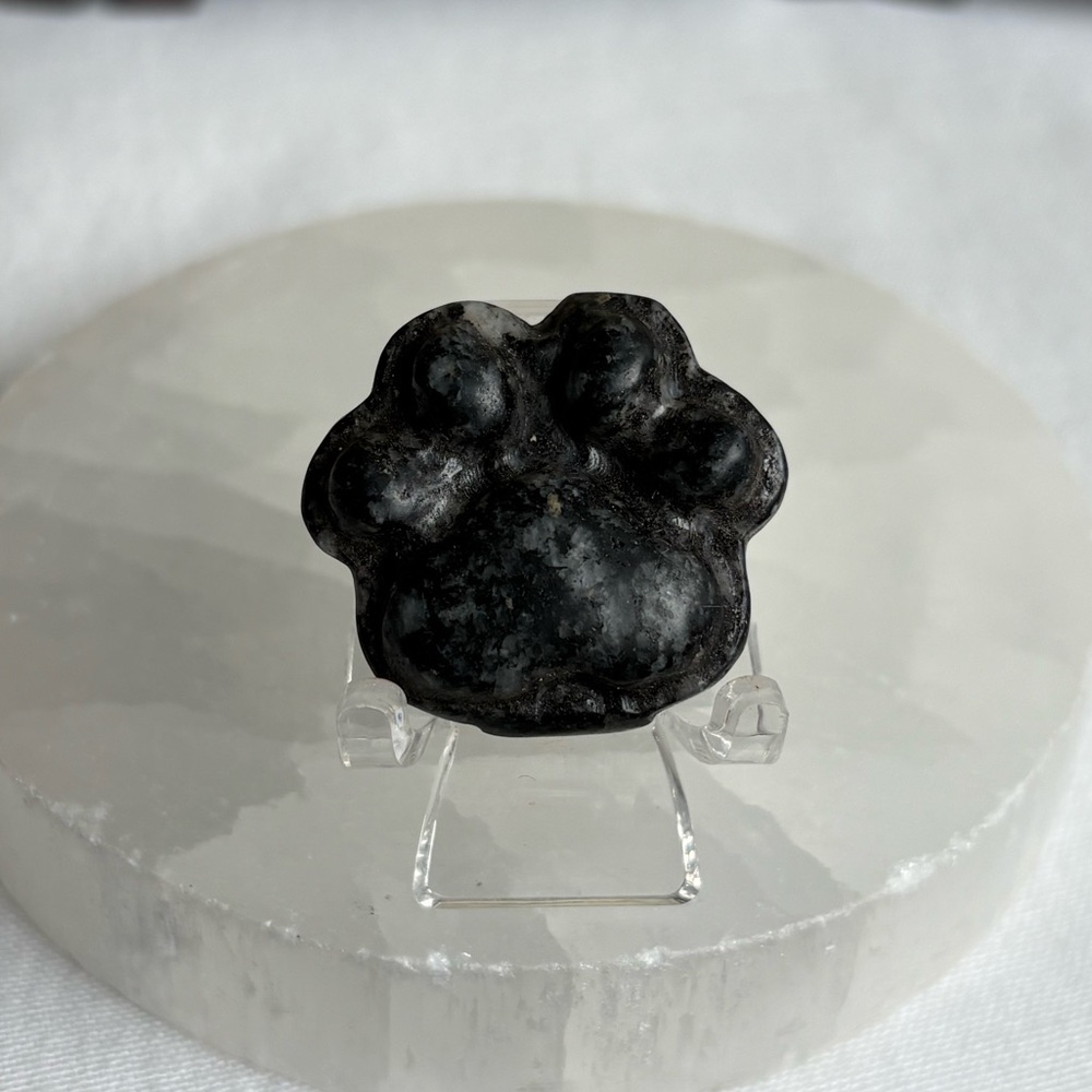 Picasso jasper crystal paw carving